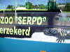 reptielen dierentuin serpo Connexxion bus
